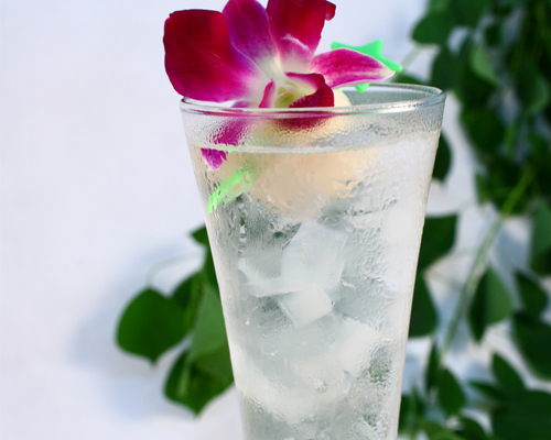 荔枝汁 ￥3.95元/份 已售2份