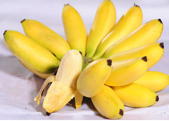 进口帝王蕉1000g-1200g ￥38.8元/份(1把) 已售21份