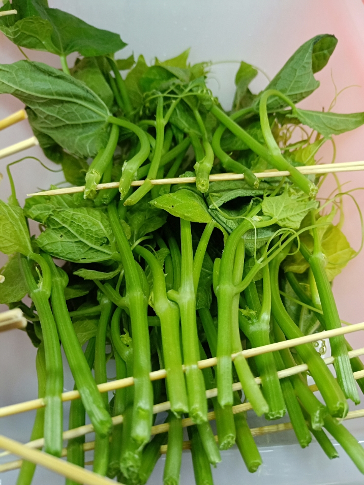 洋瓜尖 ￥1元/份 已售19份